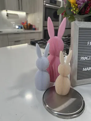 https://makerworld.bblmw.com/makerworld/model/219200/270202/ratings/5cf2b530-f94e-11ef-9018-b5be69230ca5.jpg