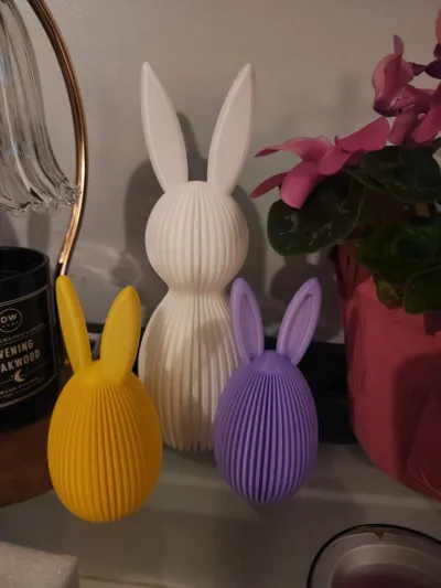 https://makerworld.bblmw.com/makerworld/model/219200/270202/ratings/e48ea380-128c-11f0-b252-e3b1549c217c.jpg