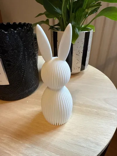https://makerworld.bblmw.com/makerworld/model/219200/271169/ratings/2c85e920-1c45-11f0-afbe-fb1df4091d87.jpg