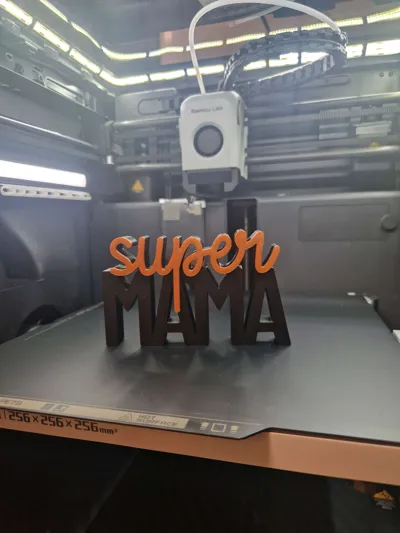 https://makerworld.bblmw.com/makerworld/model/2192542/2380714/ratings/620d0f90-fa31-11f0-ba06-85fafb420d69.jpg