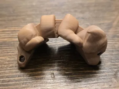 https://makerworld.bblmw.com/makerworld/model/2196156/2385080/ratings/7ee7afa0-ecc9-11f0-a4b1-cfcf7ed2a528.jpg