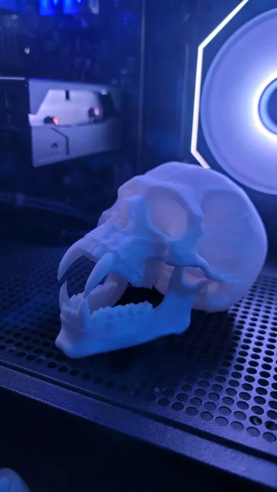 https://makerworld.bblmw.com/makerworld/model/2198248/2387859/ratings/dbd25b60-f1bb-11f0-8225-31de7790dd28.jpg
