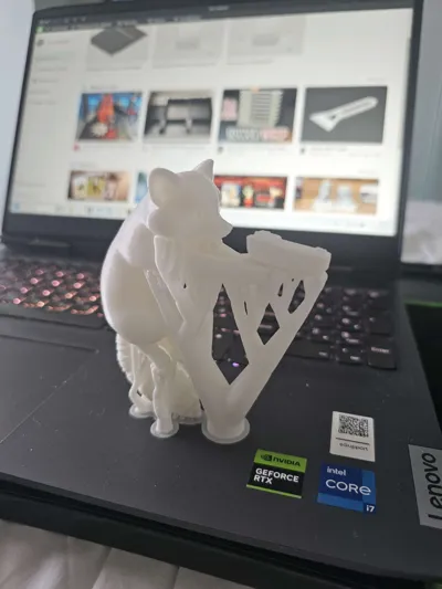https://makerworld.bblmw.com/makerworld/model/2200410/2390462/ratings/ce77eca0-f8aa-11f0-a82b-1568c4b24467.jpg