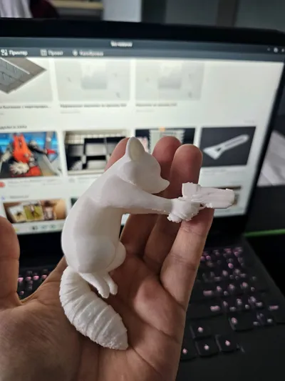 https://makerworld.bblmw.com/makerworld/model/2200410/2390462/ratings/ce7d91f0-f8aa-11f0-a82b-1568c4b24467.jpg