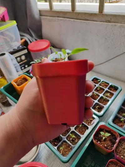 https://makerworld.bblmw.com/makerworld/model/220107/294287/ratings/dc934a90-723c-11f0-b3ef-c13406493eef.jpg