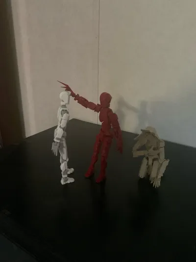 https://makerworld.bblmw.com/makerworld/model/2201341/2391554/ratings/4c6db3b0-ecbc-11f0-9455-01fa9b2c0773.jpg