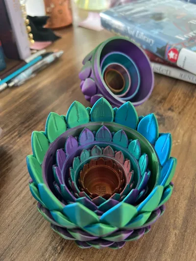https://makerworld.bblmw.com/makerworld/model/2210683/2403197/ratings/5aad4980-0af4-11f1-a9b5-b7abf93ae395.jpg