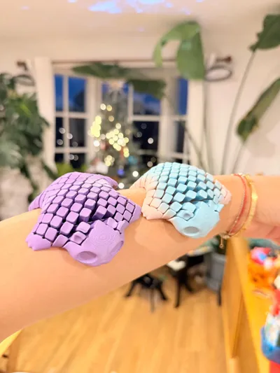 https://makerworld.bblmw.com/makerworld/model/2212194/2404923/ratings/c313e620-072d-11f1-a701-ab06d0210e66.jpg