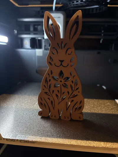 https://makerworld.bblmw.com/makerworld/model/2216643/2410181/ratings/bb40dfe0-f164-11f0-8c7f-8f76d0eace93.jpg