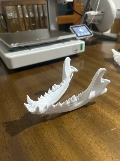 https://makerworld.bblmw.com/makerworld/model/221702/240056/ratings/b077b6a0-a31d-11f0-b82c-d16d59ff440a.jpg