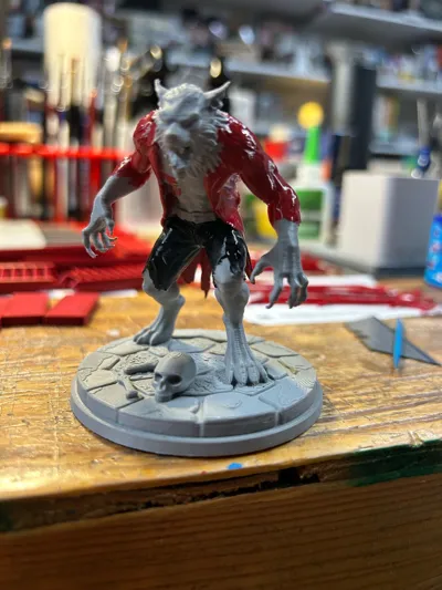 https://makerworld.bblmw.com/makerworld/model/2220180/2414366/ratings/ef7b9610-f8ad-11f0-81f9-4d749d3516bf.jpg