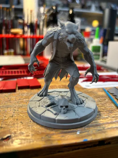 https://makerworld.bblmw.com/makerworld/model/2220180/2414366/ratings/ef8496c0-f8ad-11f0-81f9-4d749d3516bf.jpg