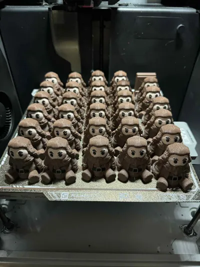 https://makerworld.bblmw.com/makerworld/model/222334/240504/ratings/2053b310-95b9-11f0-8460-492b2bcc7a42.jpg