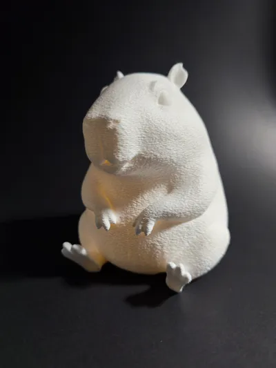 https://makerworld.bblmw.com/makerworld/model/2223389/2418098/ratings/2026-01-21_92f7bf9d8a5308.jpg