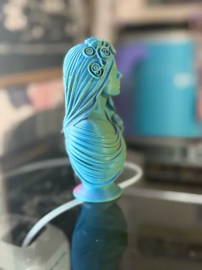 https://makerworld.bblmw.com/makerworld/model/2227419/2422939/ratings/21225770-19c0-11f1-bd94-6beb6dc6e935.jpg