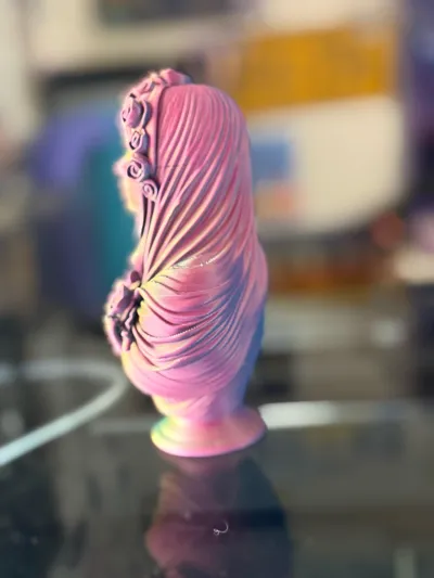 https://makerworld.bblmw.com/makerworld/model/2227419/2422939/ratings/2122a590-19c0-11f1-bd94-6beb6dc6e935.jpg