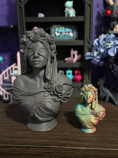 https://makerworld.bblmw.com/makerworld/model/2227419/2422939/ratings/21262800-19c0-11f1-bd94-6beb6dc6e935.jpg