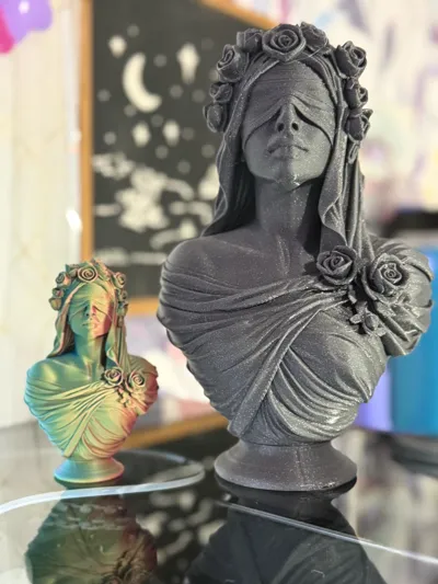 https://makerworld.bblmw.com/makerworld/model/2227419/2422939/ratings/2127aea0-19c0-11f1-bd94-6beb6dc6e935.jpg