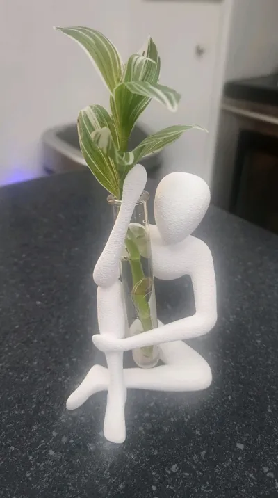 https://makerworld.bblmw.com/makerworld/model/2227581/2423129/ratings/16f7f820-f98d-11f0-9fc6-439c4e229d35.jpg
