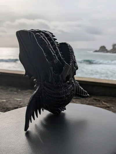 https://makerworld.bblmw.com/makerworld/model/2236526/2433959/ratings/66148be0-fa22-11f0-802c-f97487f8dd9a.jpg