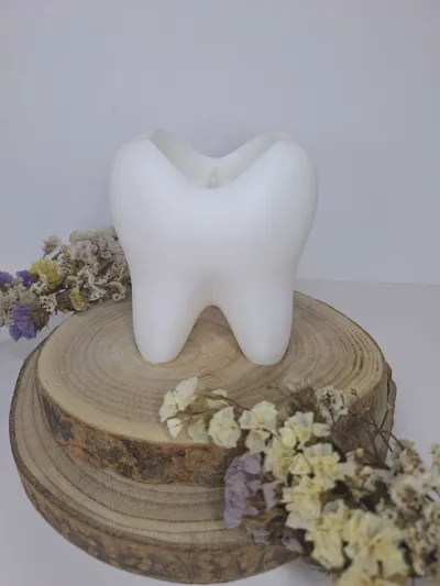 https://makerworld.bblmw.com/makerworld/model/223677/241608/ratings/c6b3f790-693d-11f0-a792-35022be737e9.jpg