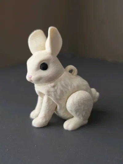 https://makerworld.bblmw.com/makerworld/model/2237521/2435174/ratings/454739c0-f1d1-11f0-a3f3-23ea6e5cba06.jpg