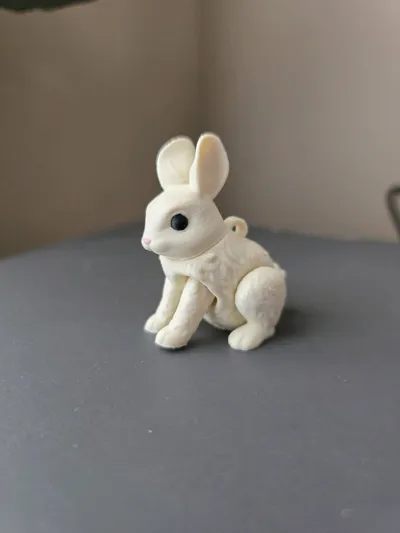 https://makerworld.bblmw.com/makerworld/model/2237521/2435174/ratings/454e3ea0-f1d1-11f0-a3f3-23ea6e5cba06.jpg