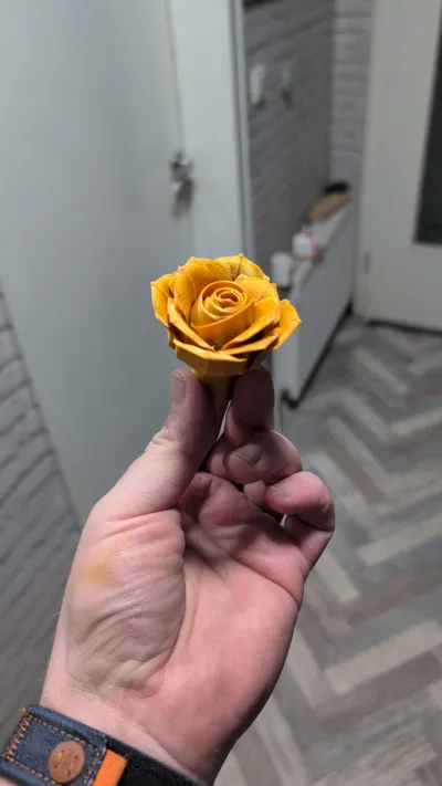 https://makerworld.bblmw.com/makerworld/model/2240127/2438230/ratings/52e77360-f50f-11f0-9608-bb5e95f44308.jpg
