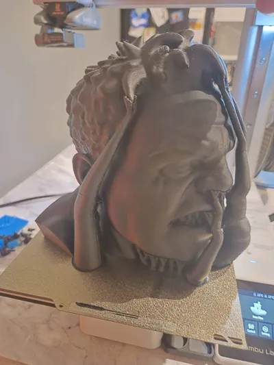 https://makerworld.bblmw.com/makerworld/model/227270/244966/ratings/7e268a50-17e5-11f0-9e4d-695d71941daf.jpg