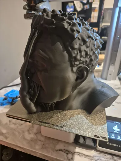 https://makerworld.bblmw.com/makerworld/model/227270/244966/ratings/7e2ad010-17e5-11f0-9e4d-695d71941daf.jpg