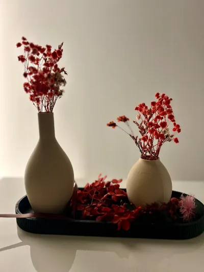 https://makerworld.bblmw.com/makerworld/model/2278395/2484389/ratings/a5d89f20-fc91-11f0-a8c7-f3ca002297c4.jpg