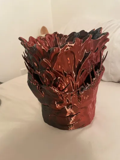 https://makerworld.bblmw.com/makerworld/model/2283189/2513806/ratings/35d62aa0-fcdf-11f0-9a1c-a744c9016349.jpg