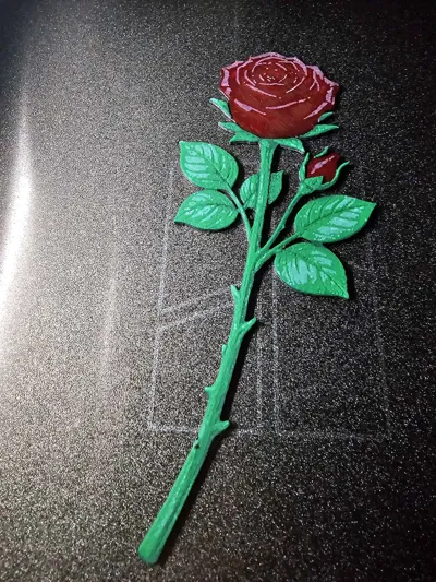 https://makerworld.bblmw.com/makerworld/model/2289190/2497549/ratings/a6d80330-fa1f-11f0-aeb8-dfbb77e434ca.jpg