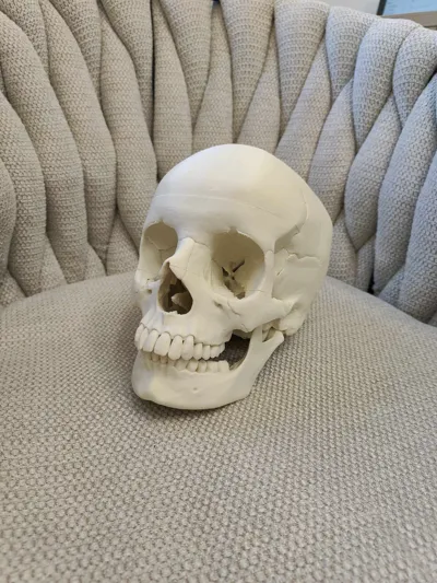 https://makerworld.bblmw.com/makerworld/model/229818/675223/ratings/8bc5bea0-eb0d-11f0-978c-1d8d30a44741.jpg