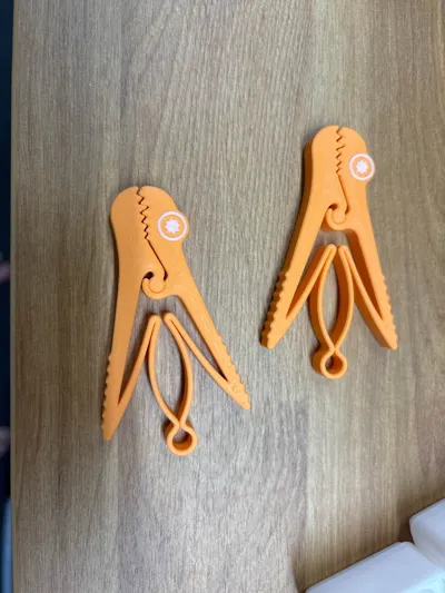 https://makerworld.bblmw.com/makerworld/model/2306748/2518047/ratings/315ecdd0-fbe3-11f0-952f-f7ca8626df68.jpg