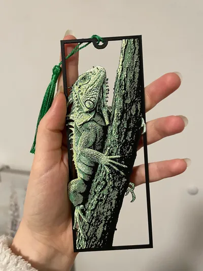 https://makerworld.bblmw.com/makerworld/model/2337355/2556556/ratings/ac765b90-3fbe-11f1-8cda-a7dc2671981c.jpg