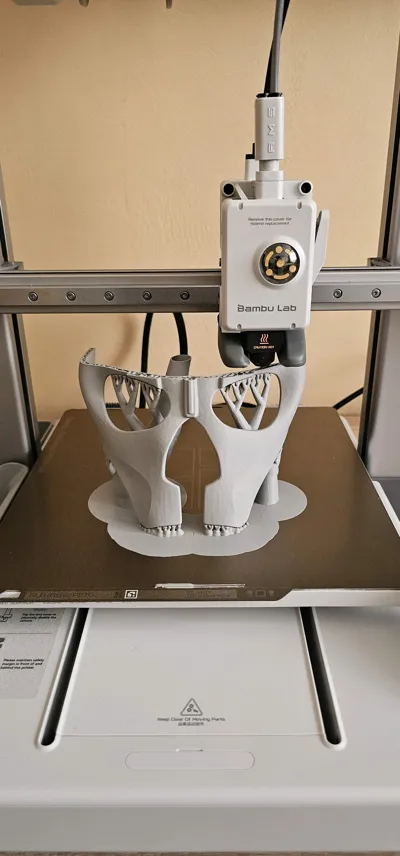 https://makerworld.bblmw.com/makerworld/model/233858/250433/ratings/8c8e3200-4ebd-11f0-a4bc-231d7b40e917.jpg