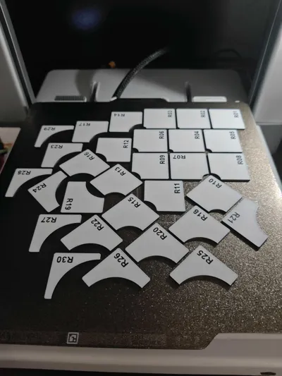 https://makerworld.bblmw.com/makerworld/model/23410/26483/ratings/b37bd650-a9a9-11f0-b85e-d92bf573257e.jpg