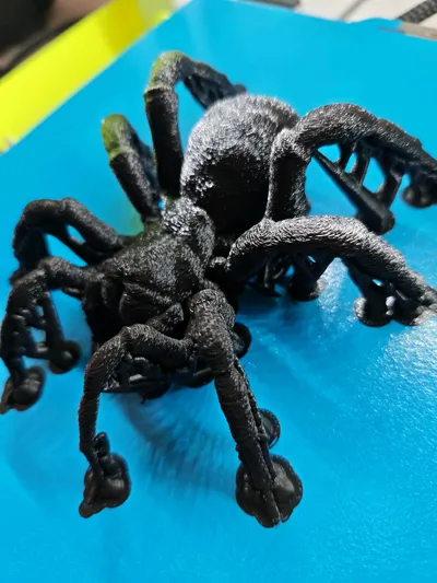 https://makerworld.bblmw.com/makerworld/model/234169/649557/ratings/aaa8a060-5fe6-11f0-9889-4db78b985860.jpg