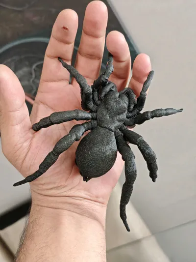 https://makerworld.bblmw.com/makerworld/model/234169/649557/ratings/aabc4f70-5fe6-11f0-9889-4db78b985860.jpg