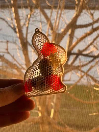 https://makerworld.bblmw.com/makerworld/model/2354161/2575043/ratings/895f5880-64c8-11f1-96b9-c764ab74a53a.jpg