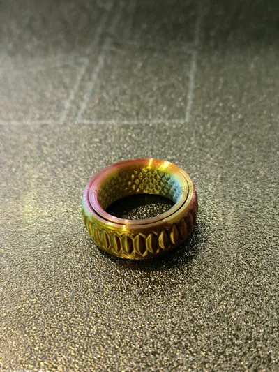 https://makerworld.bblmw.com/makerworld/model/237319/265310/ratings/64672160-4896-11f0-8e0d-6fd466757b31.jpg