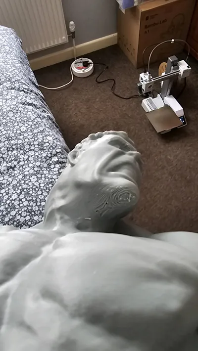 https://makerworld.bblmw.com/makerworld/model/237416/253435/ratings/a0dd8550-1ec8-11f0-9829-43e0800f20f9.jpg