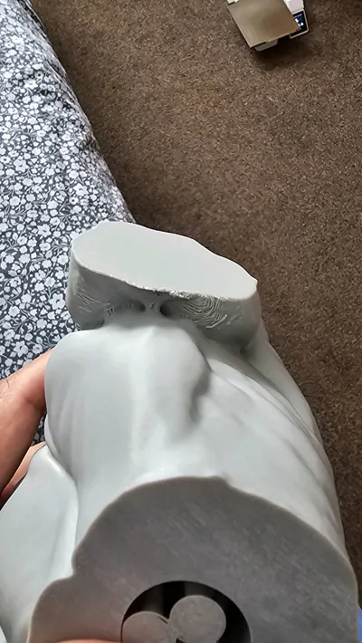 https://makerworld.bblmw.com/makerworld/model/237416/253435/ratings/a0e28e60-1ec8-11f0-9829-43e0800f20f9.jpg