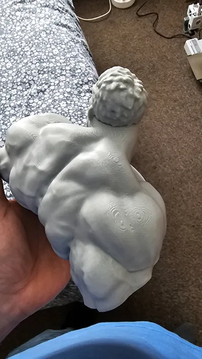 https://makerworld.bblmw.com/makerworld/model/237416/253435/ratings/a0e99340-1ec8-11f0-9829-43e0800f20f9.jpg