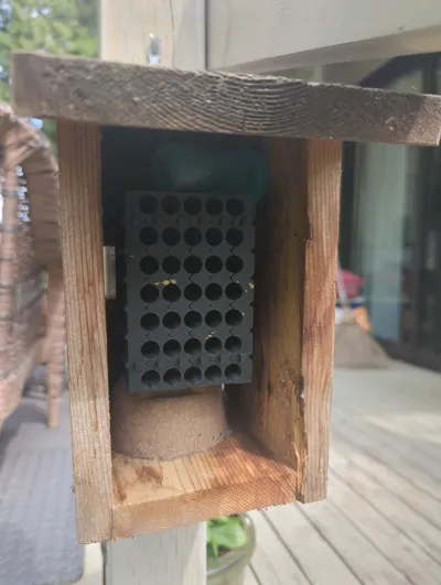https://makerworld.bblmw.com/makerworld/model/239235/255139/ratings/16527d20-4171-11f0-a071-378a67e1b196.jpg