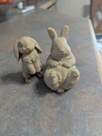 https://makerworld.bblmw.com/makerworld/model/240967/256942/ratings/74572590-0703-11f0-be14-bf1463529c31.jpg