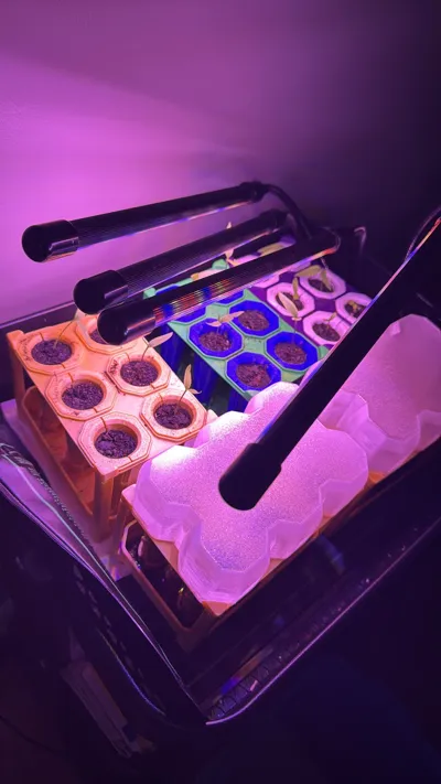 https://makerworld.bblmw.com/makerworld/model/241212/314030/ratings/98085980-1290-11f0-9828-fb3c17ef3253.jpg
