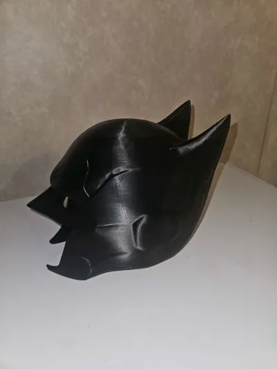 https://makerworld.bblmw.com/makerworld/model/243250/259560/ratings/3221a760-ae6d-11f0-867e-4da73a25172b.jpg