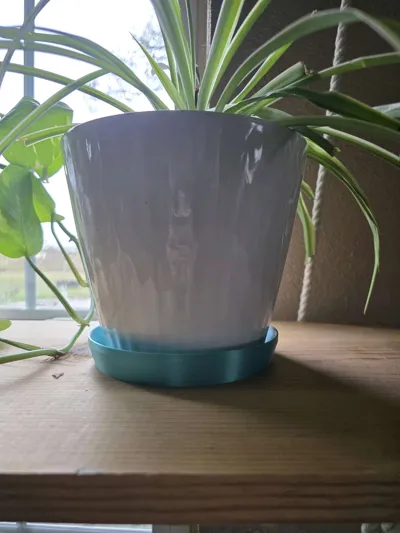 https://makerworld.bblmw.com/makerworld/model/243359/259716/ratings/0c6dc0a0-b42e-11f0-bd0e-250886e1c0f2.jpg